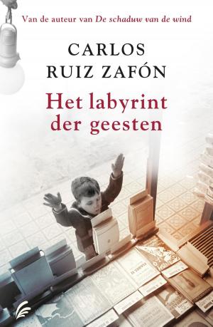 Cover of the book Het labyrint der geesten by Susan Gee Heino