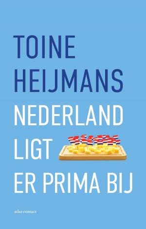 Cover of the book Nederland ligt er prima bij by Stephen M.R. Covey