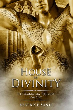 Cover of the book House of Divinity by Anthony St. Clair