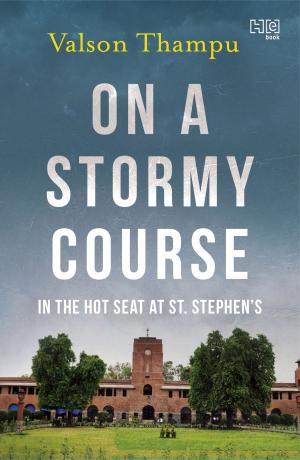Cover of the book On A Stormy Course by Anuradha Kumar