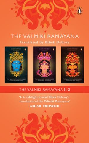 Cover of the book The Valmiki Ramayana by Devdutt Pattanaik