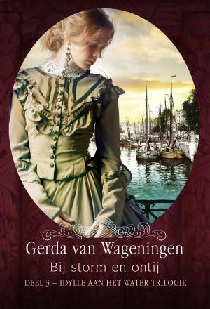 Cover of the book Bij storm en ontij by Mirjam van der Vegt, Els Florijn, André Troost