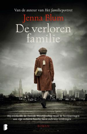 Cover of the book De verloren familie by Carsten Stroud