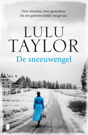 Cover of the book De sneeuwengel by Jackie van Laren
