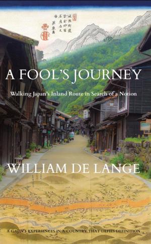 Cover of the book A Fool's Journey by Mark Leyner, Billy Goldberg, M.D.