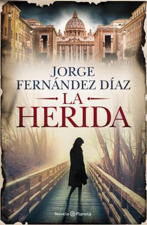 Cover of the book La herida by Daniel Ruiz