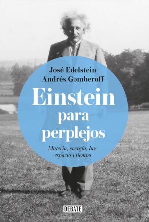 Cover of the book Einstein para perplejos by Amanda Céspedes Calderón