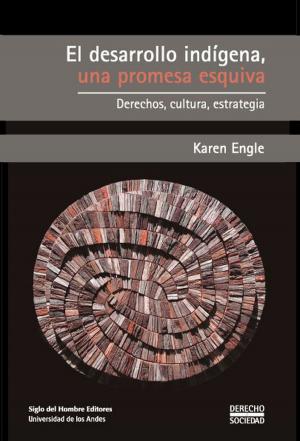 Book cover of El desarrollo indígena, una promesa esquiva