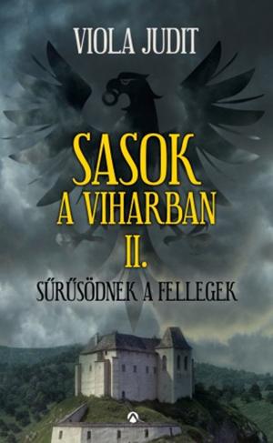 Book cover of Sasok a viharban II.