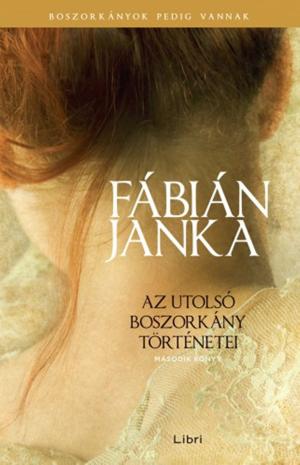 Cover of the book Az utolsó boszorkány történetei - Második könyv by Kondor Vilmos