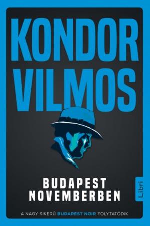 Book cover of Budapest novemberben