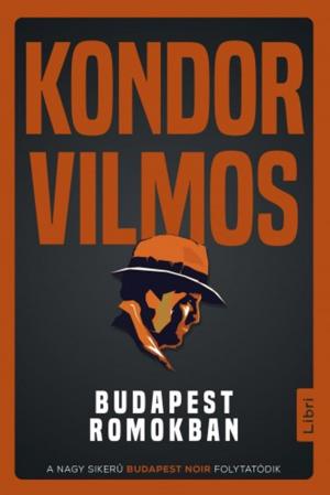 Book cover of Budapest romokban