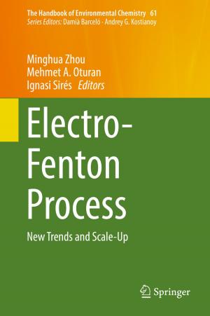 Cover of the book Electro-Fenton Process by Jiangshan Fang