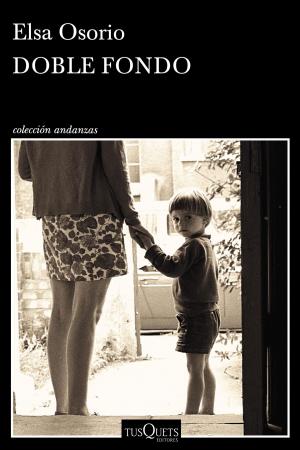Cover of the book Doble fondo by Seth Godin
