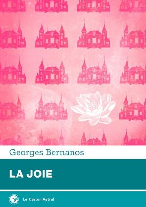 Book cover of La Joie