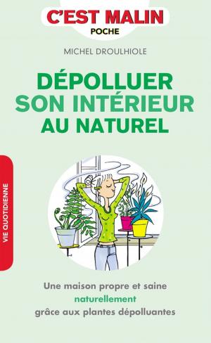 Cover of the book Dépolluer son intérieur, c'est malin by Dominique Glocheux