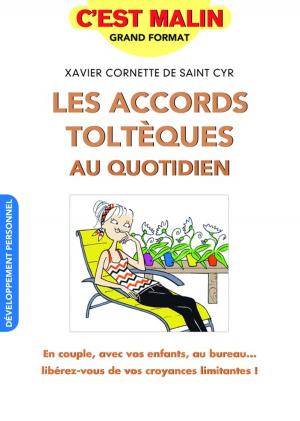 Cover of the book Les accords toltèques au quotidien, c'est malin by Amélia Lobbé