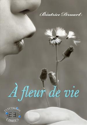 Cover of the book De l'ombre à la lumière by Stéphanie L.