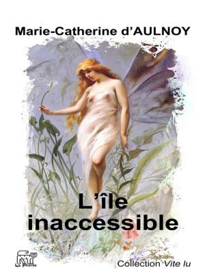 Cover of the book L'île inaccessible by Jean-Patrick Beaufreton