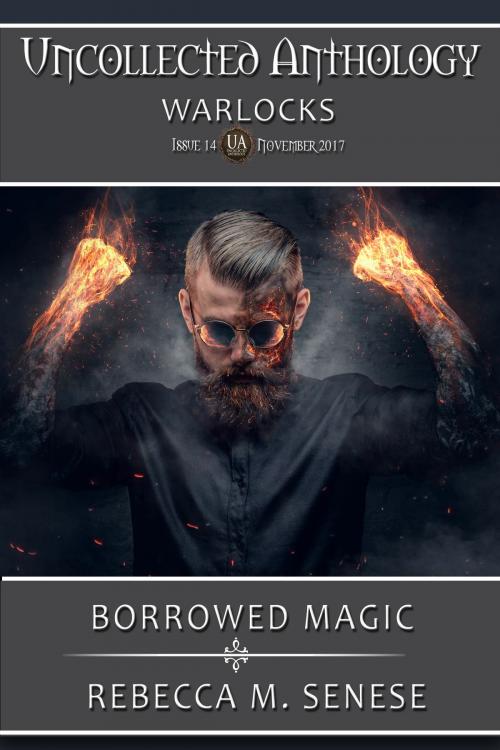 Cover of the book Borrowed Magic by Rebecca M. Senese, RFAR Publishing