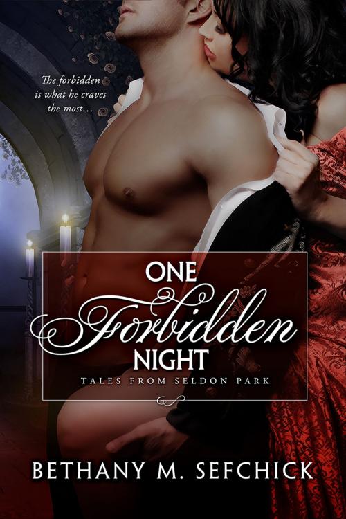 Cover of the book One Forbidden Night by Bethany Sefchick, Bethany M. Sefchick