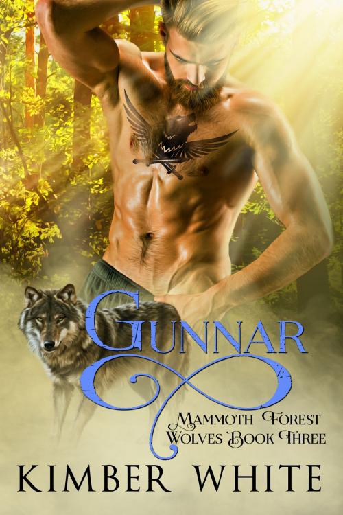 Cover of the book Gunnar by Kimber White, Nokay Press LLC