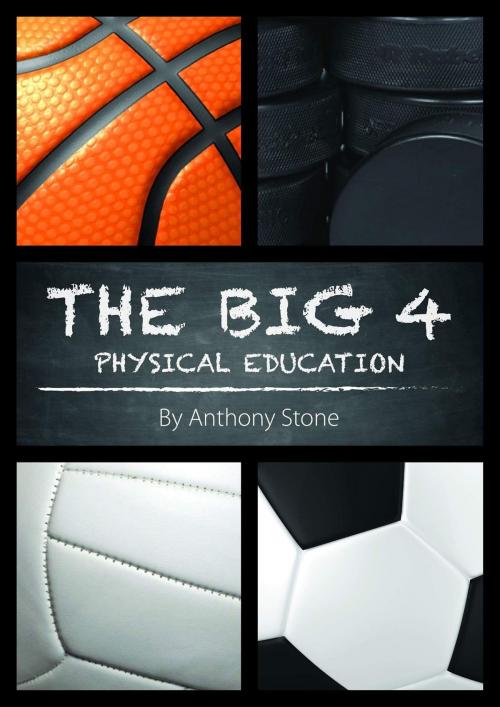 Cover of the book The Big 4 by Anthony Stone, Anthony Stone