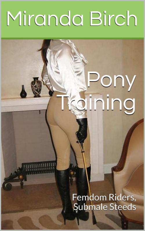 Cover of the book Pony Training by Miranda Birch, Birch Books