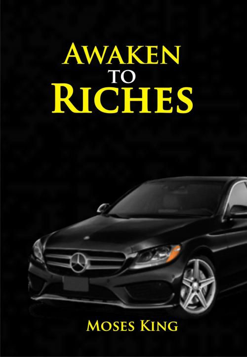 Cover of the book AWAKEN TO RICHES by Moses King, Gemthrone