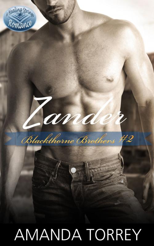 Cover of the book Zander by Amanda Torrey, Pink Elephant Press