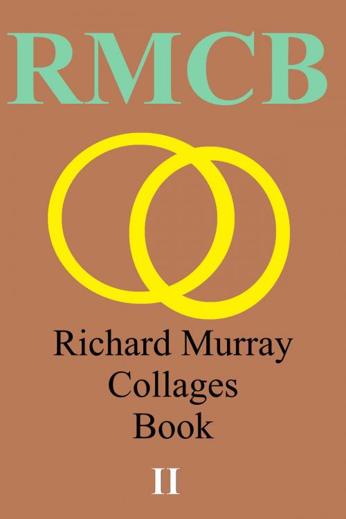 Cover of the book Richard Murray Collages Book 2 by Richard Murray, Richard Murray