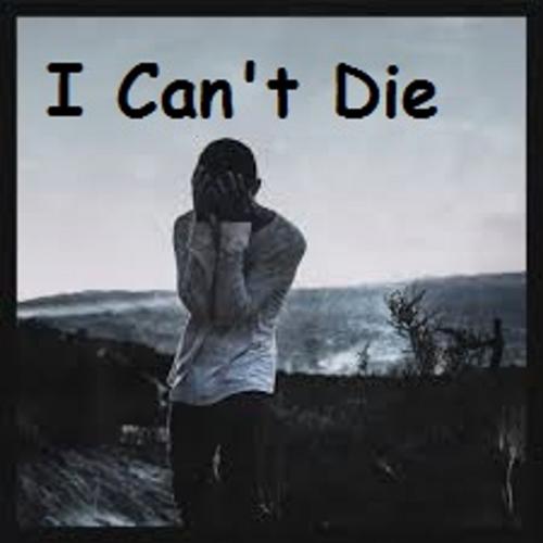 Cover of the book I Can't Die by VT, VT
