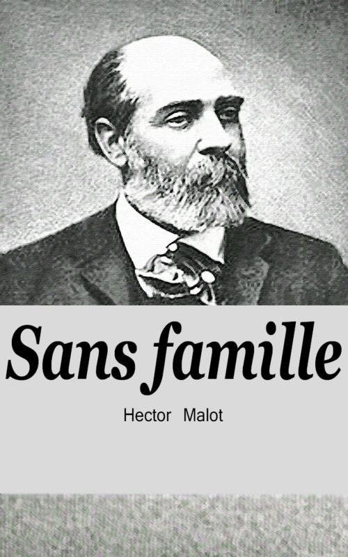 Cover of the book Sans famille by Hector Malot, Hector Malot