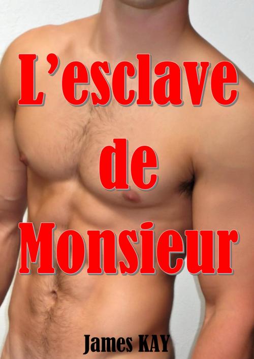 Cover of the book L'esclave de Monsieur by James KAY, JK Edition