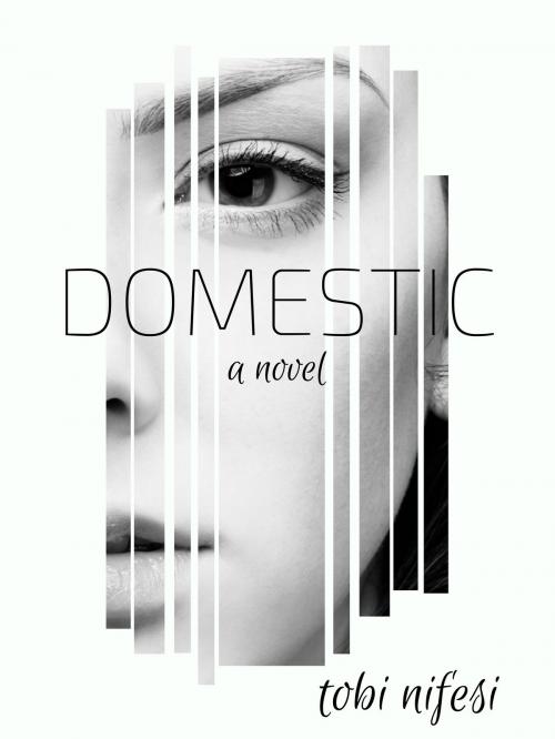 Cover of the book DOMESTIC by Tobi Nifesi, Tobi Nifesi