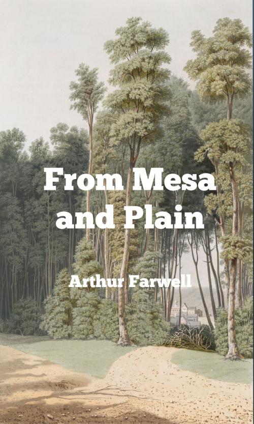 Cover of the book From Mesa and Plain (Original Scores) by Arthur Farwell, Steve Gabany