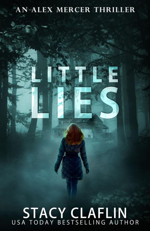 Cover of the book Little Lies by Stacy Claflin, Stacy Claflin