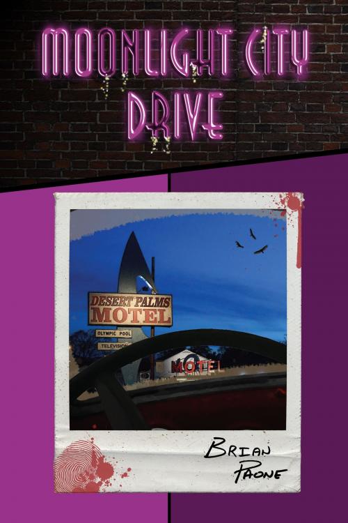Cover of the book Moonlight City Drive by Brian Paone, Scout Media