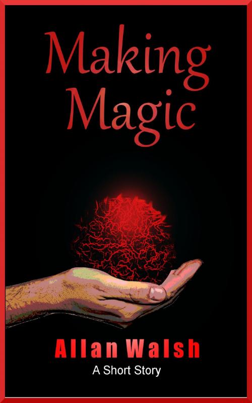 Cover of the book Making Magic by Allan Walsh, Allan Walsh