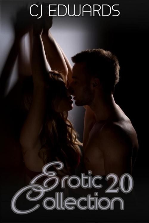 Cover of the book Erotic Collection 20 by CJ Edwards, Erotic Dreams