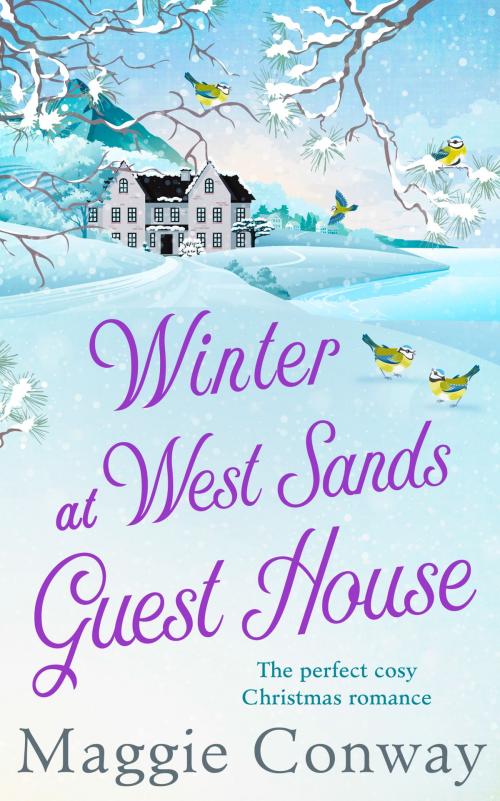 Cover of the book Winter at West Sands Guest House by Maggie Conway, HarperCollins Publishers