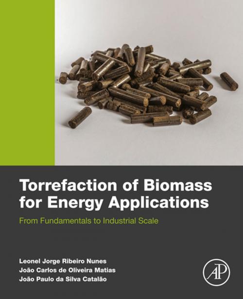 Cover of the book Torrefaction of Biomass for Energy Applications by Leonel JR Nunes, Joao Carlos De Oliveira Matias, Joao Paulo Da Silva Catalao, Elsevier Science
