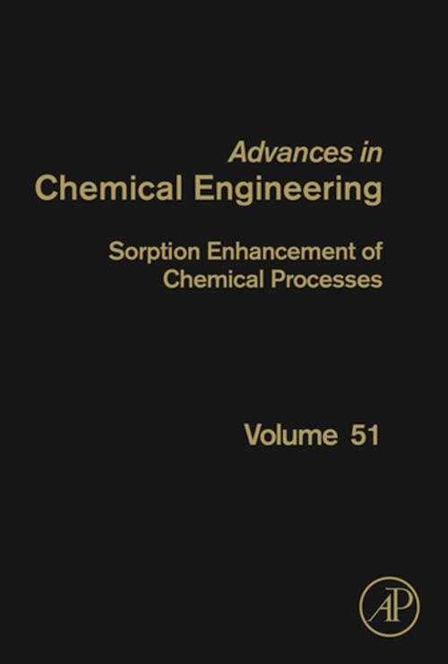 Cover of the book Sorption Enhancement of Chemical Processes by Angeliki Lemonidou, Elsevier Science