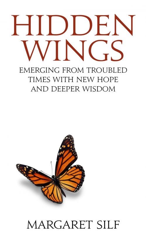 Cover of the book Born to Fly: Emerging from Troubled Times with New Hope and Deeper Wisdom by Margaret Silf, Darton, Longman & Todd LTD
