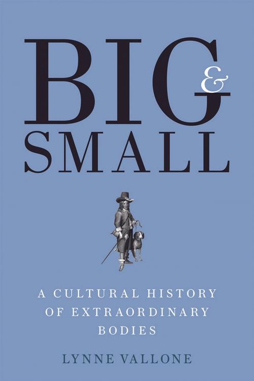 Cover of the book Big and Small by Lynne Vallone, Yale University Press