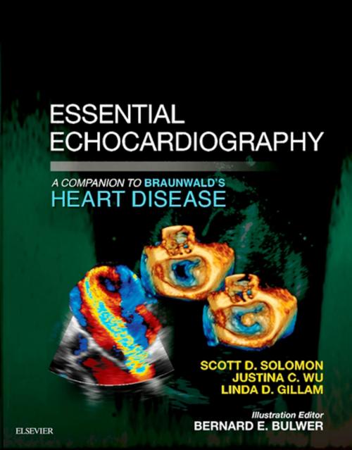 Cover of the book Essential Echocardiography: A Companion to Braunwald’s Heart Disease E-Book by Scott D Solomon, MD, Justina Wu, MD, Linda D. Gillam, Elsevier Health Sciences