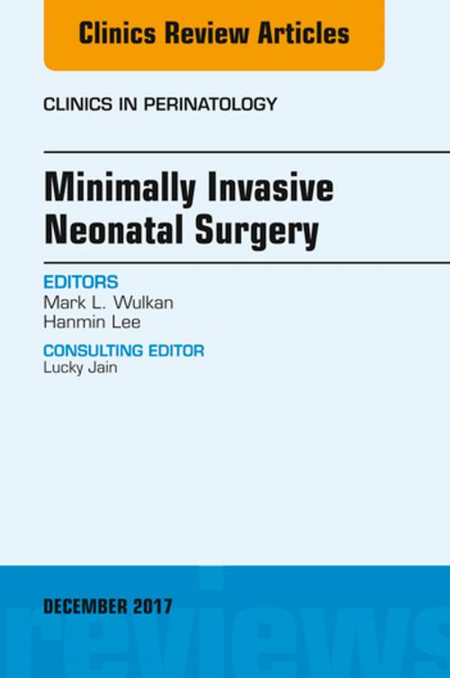 Cover of the book Minimally Invasive Neonatal Surgery, An Issue of Clinics in Perinatology, E-Book by Mark Wulkan, MD, Hanmin Lee, MD, Elsevier Health Sciences