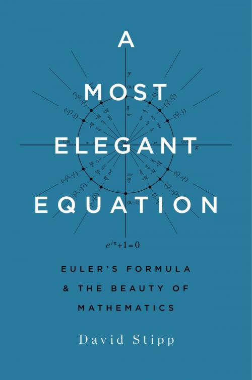 Cover of the book A Most Elegant Equation by David Stipp, Basic Books