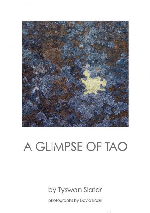 Cover of the book A Glimpse of Tao by David Brazil, Tyswan Slater, David Brazil