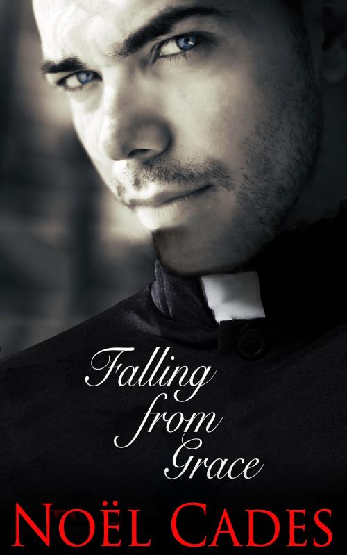 Cover of the book Falling From Grace by Noël Cades, Noël Cades